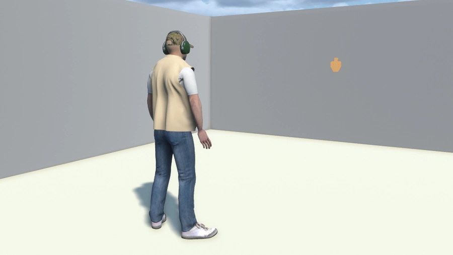 Far Target Standards